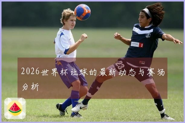 2026世界杯让球的最新动态与赛场分析