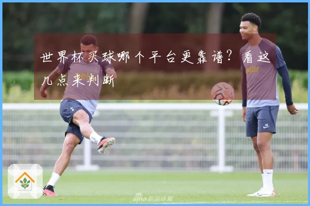 世界杯买球哪个平台更靠谱？看这几点来判断