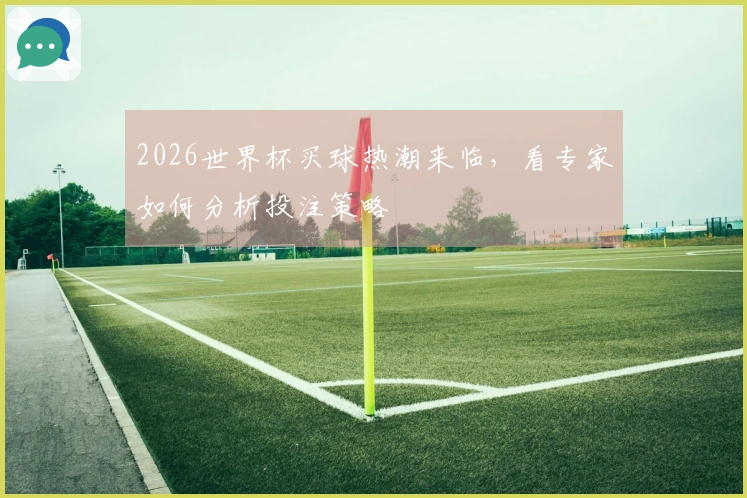 2026世界杯买球热潮来临，看专家如何分析投注策略