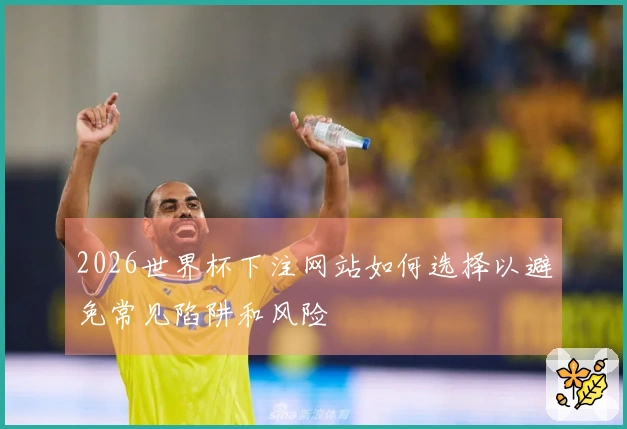 2026世界杯下注网站如何选择以避免常见陷阱和风险