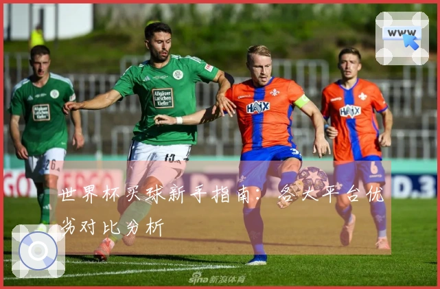 世界杯买球新手指南：各大平台优劣对比分析