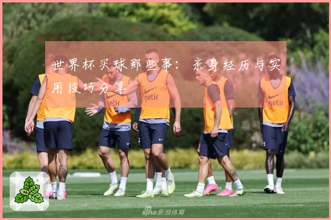 世界杯买球那些事：亲身经历与实用技巧分享