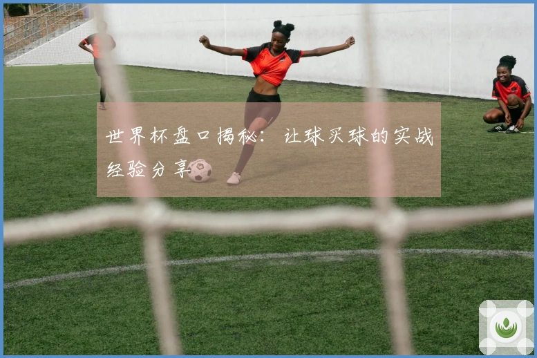 世界杯盘口揭秘：让球买球的实战经验分享