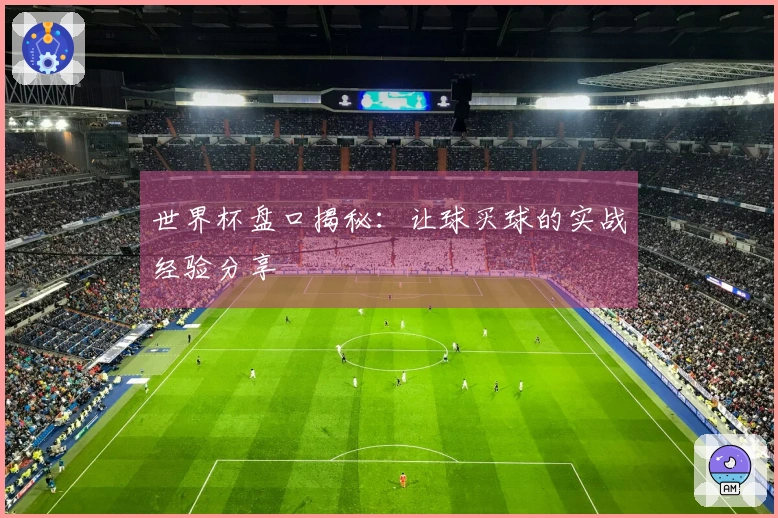世界杯盘口揭秘：让球买球的实战经验分享