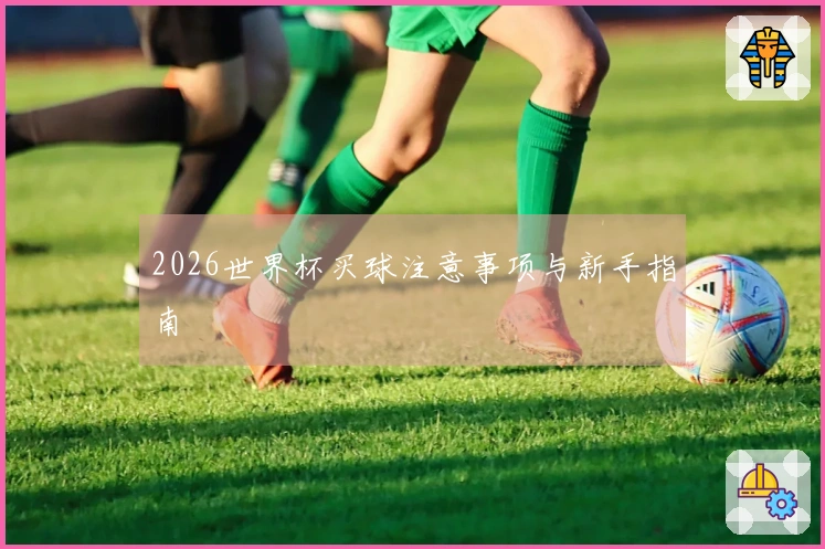2026世界杯买球注意事项与新手指南