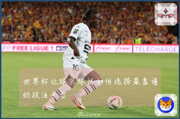 世界杯让球买球该如何选择最靠谱的投注平台