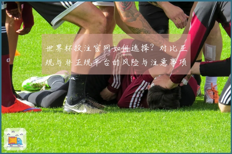 世界杯投注官网如何选择？对比正规与非正规平台的风险与注意事项