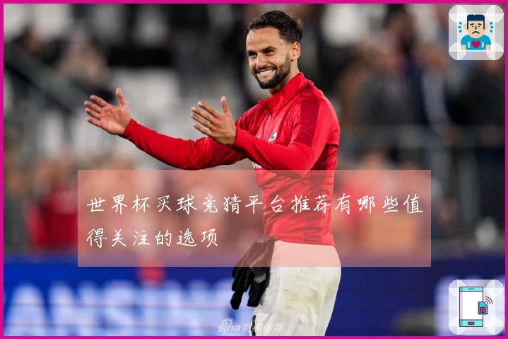 世界杯买球竞猜平台推荐有哪些值得关注的选项