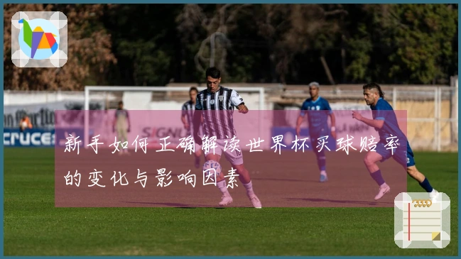新手如何正确解读世界杯买球赔率的变化与影响因素